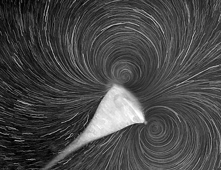 Одноклеточные объединяются во временные колонии ради еды