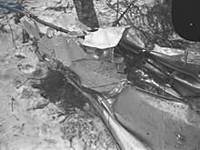 Госархив впервые опубликовал снимки с места гибели Гагарина