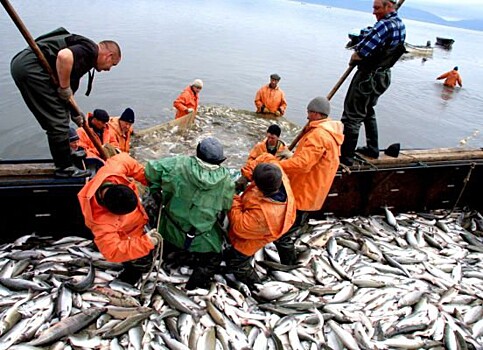 Психушки, театры и лесничество: вариантов альтернативной службы в России стало больше