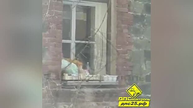 Во Владивостоке мать выгуливала младенца, привязав его к карнизу