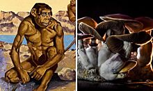 Ученый: приматы стали людьми благодаря психотропным грибам