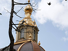 Нейрофидбек вместо сувениров: зачем ехать в Санкт-Петербург, если не за достопримечательностями?