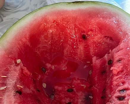 В Тюменскую область завезли арбузы ужасного качества