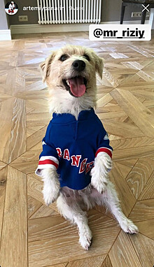 Артемий Панарин одел своего пса в форму «Рейнджерс»