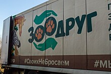 Проект «ЗооДруг» доставил десятую фуру с помощью для животных в Донбасс