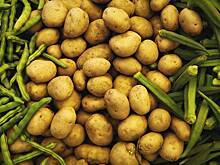 Власти Латвии утвердили список запрещенных товаров из России