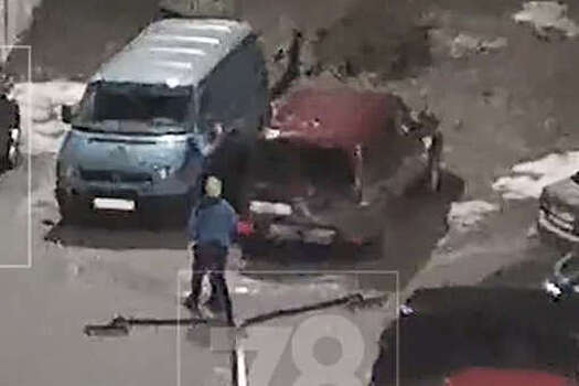 В Ленобласти на видео попали дети, которые вскрывали автомобили
