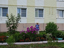 Активисты ТОСа «Прилуки» совместно с КДЦ «Забота» разбили клумбы на месте бывшего пустыря в Вологде