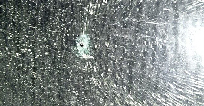 В Симферополе зоозащитнице прострелили заднее стекло автомобиля