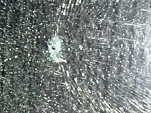 В Симферополе зоозащитнице прострелили заднее стекло автомобиля