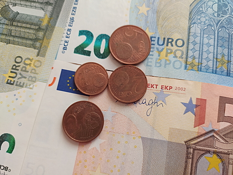 Жители Австрии требуют от ЕС оставить им право расплачиваться наличными