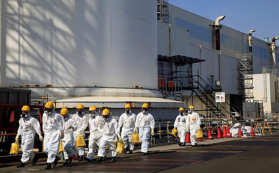 Эксперты МАГАТЭ проверят безопасность выловленной вблизи Фукусимы рыбы