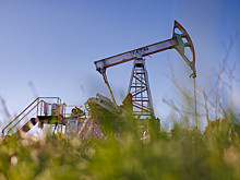 Снижение цен на нефть и отказ от газа: что может войти в новый пакет санкций против России