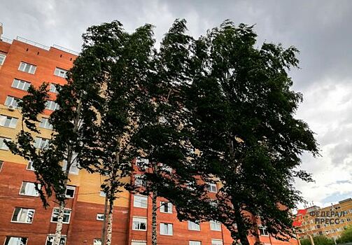 Штормовое предупреждение объявили в Свердловской области