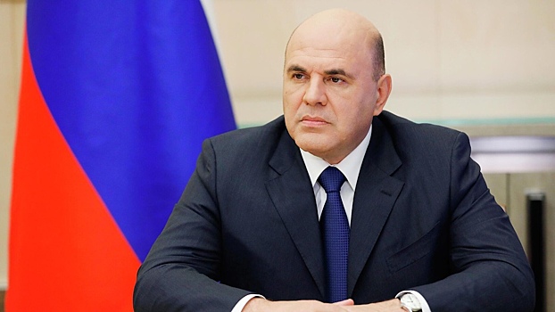 Мишустина попросили отменить мораторий на проверки бизнеса
