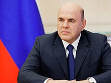Мишустина попросили отменить мораторий на проверки бизнеса