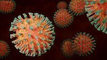 В Таиланде зафиксировали первое заражение коронавирусом от умершего
