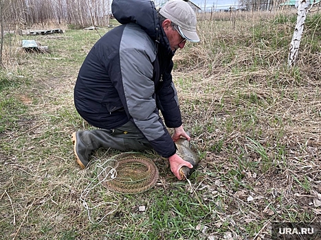 Челябинский фотокорреспондент URA.RU поймал пятикилограммового карпа