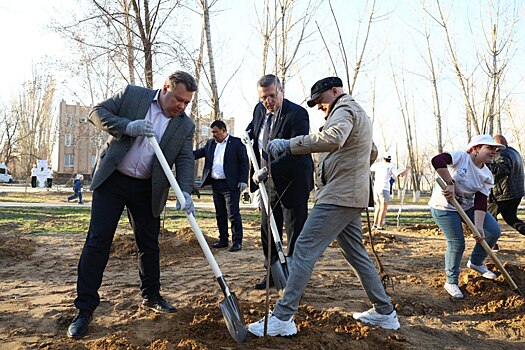 В Астраханской области высадили первые 8 тысяч деревьев в рамках акции «Сад памяти»