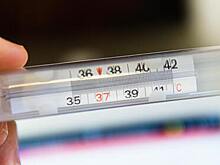 Переболевшая лихорадкой Западного Нила россиянка рассказала о симптомах