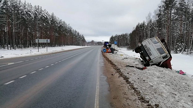 Два грузовых автомобиля столкнулись на Вологодчине: есть пострадавшие