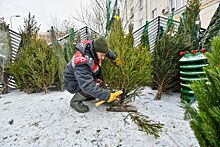 Город выставил на торги права на размещение елочных базаров на северо-востоке столицы и в Зеленограде