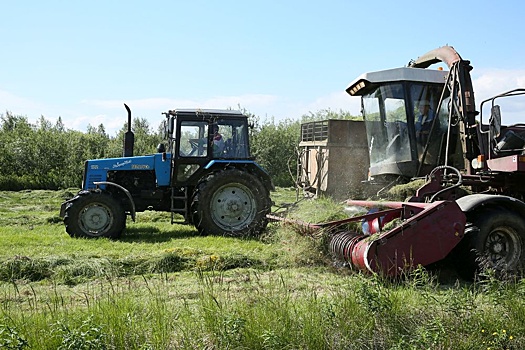 Арктические сорта сельскохозяйственных культур остаются почти невостребованными