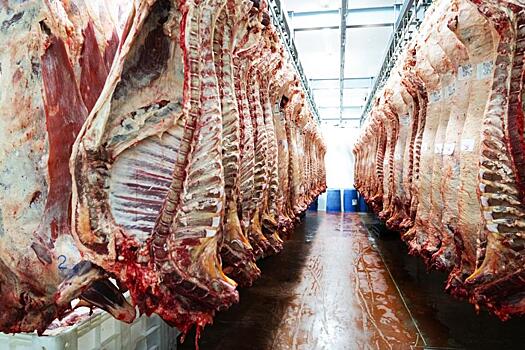 Крупнейший в мире производитель мяса намерен достичь углеродной нейтральности к 2040 году