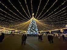 В Воронеже Новогоднее оформление в 2024 году будет таким же