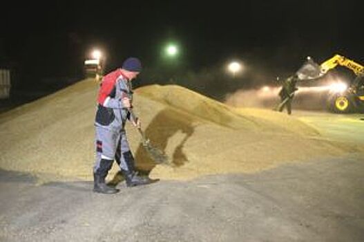 В Приморском крае план по сбору риса выполнен на 96%