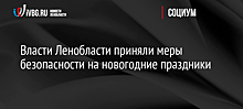 Власти Ленобласти приняли меры безопасности на новогодние праздники