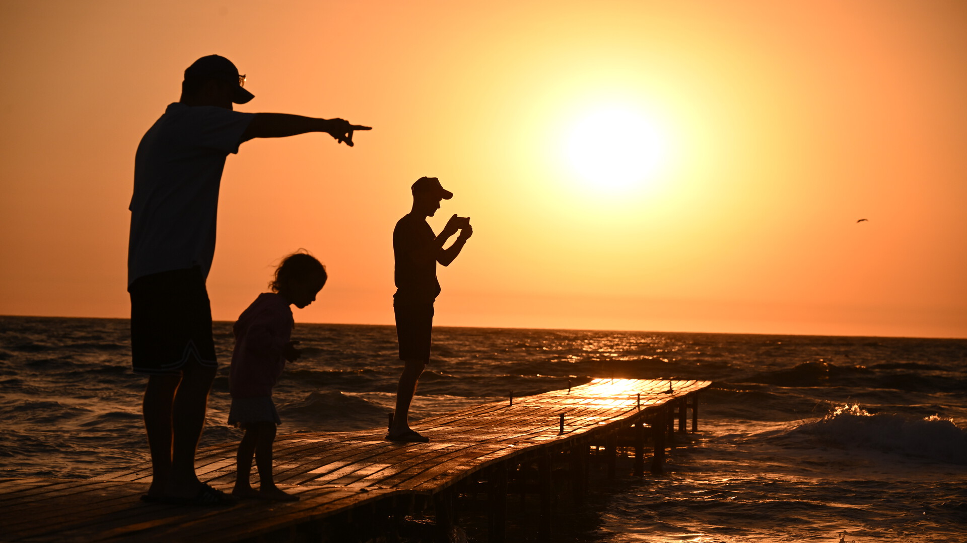 ������&nbsp; ���� �������: ������������� ������ ��������� ����������� ����������