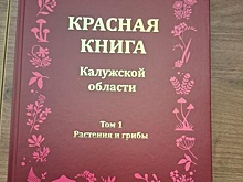 В Калужской области подготовили новое издание региональной Красной книги