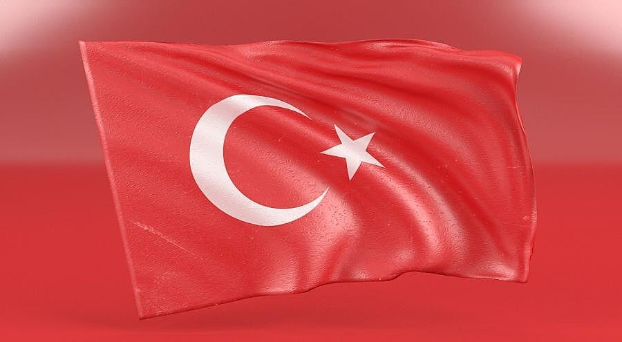 В АТОР прокомментировали ситуацию с Турцией