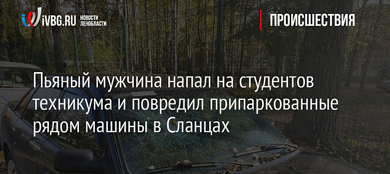 Пьяный мужчина напал на студентов техникума и повредил припаркованные рядом машины в Сланцах