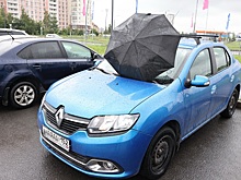 Почему некоторые водители дают имена автомобилям