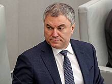 Володин выступил с призывом к украинцам