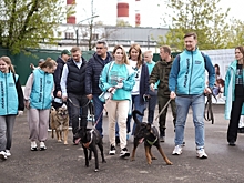 «Новые люди» провели всероссийский зоосубботник: «Должен стать доброй традицией»