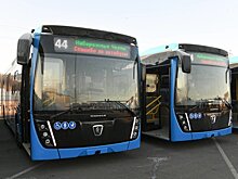 В Набережных Челнах изменили маршруты общественного транспорта после обращений жителей