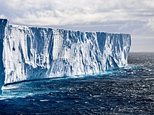 Эксперты назвали дешевый способ спасти планету