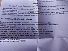 «Бедняга умерла в тяжелых муках»: в Петрозаводске дети били и поджигали кошку