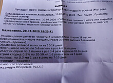 «Бедняга умерла в тяжелых муках»: в Петрозаводске дети били и поджигали кошку