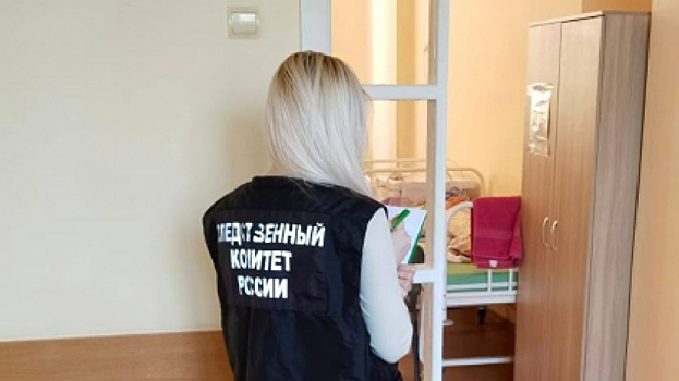 Власти Талицы выплатили 30 тысяч за укус ребёнка бродячей собакой