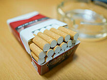 «Левые» сигареты не пустят в розницу