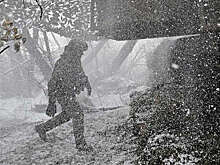 ТАСС: военнослужащие ВСУ в Красном Лимане оказались в огневом мешке