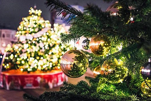 Новогодняя елка Москвы пройдет в Севастополе