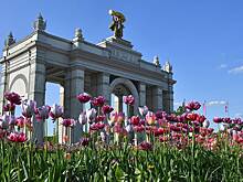 Фестиваль культуры народов Карелии проведут на ВДНХ