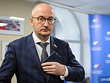 Челябинские сенаторы раскрыли доходы