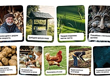 У столичной молодежи становится модным отдых без удобств