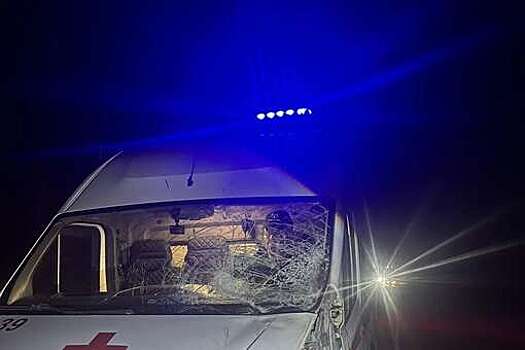 В Липецкой области скорая помощь попала в ДТП с лосем